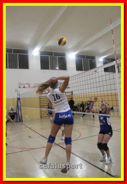 140305 Primula 067_tn.jpg